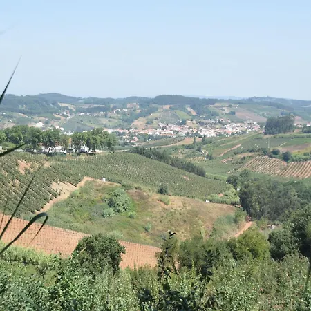 Villa In Obidos With Pool And Vineyards, Cleaning Included Villa Carreiros