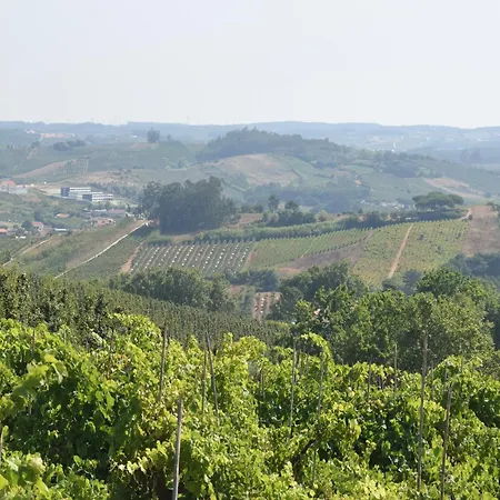 Villa In Obidos With Pool And Vineyards, Cleaning Included Villa Carreiros