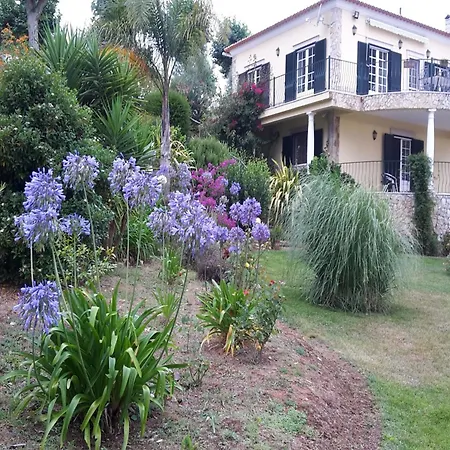 Villa In Obidos With Pool And Vineyards, Cleaning Included