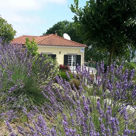 Villa Villa In Obidos With Pool And Vineyards, Cleaning Included Carreiros